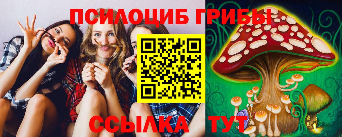 Якутск  Галлюциногенные грибы Magic Shrooms  Вход с VPN 