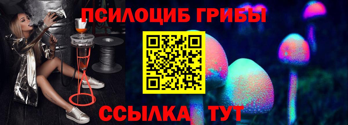 Галлюциногенные грибы Cubensis Якутск